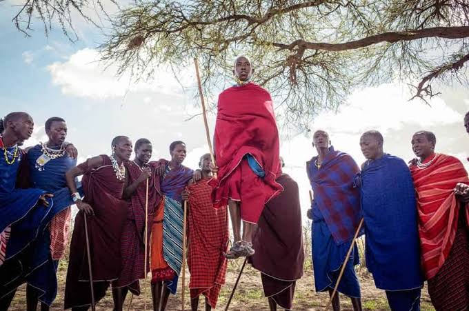 Tiem Tours And Safaris